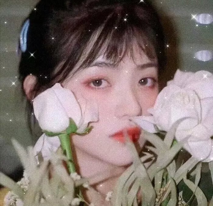 爱的着陆 第一季